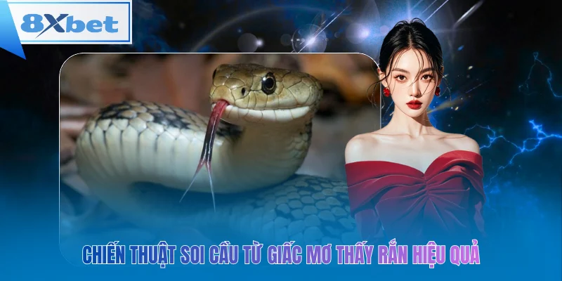 Chiến thuật soi cầu từ giấc mơ thấy rắn hiệu quả