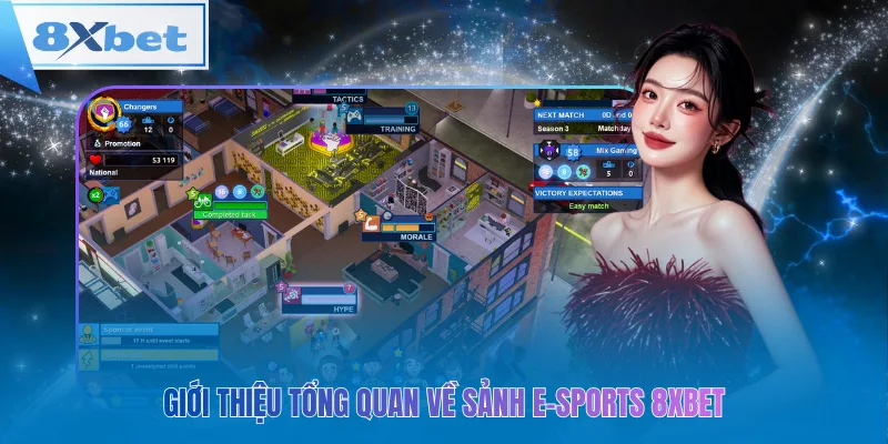 Giới thiệu tổng quan về sảnh e-sports 8xbet