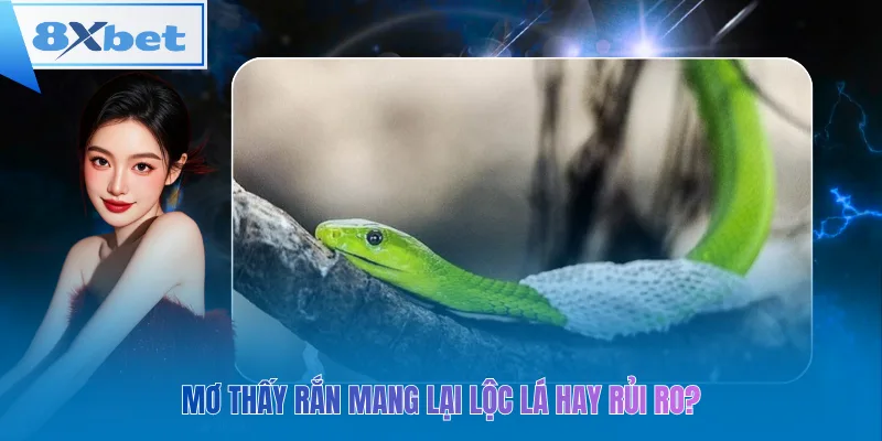 Mơ thấy rắn mang lại lộc lá hay rủi ro?