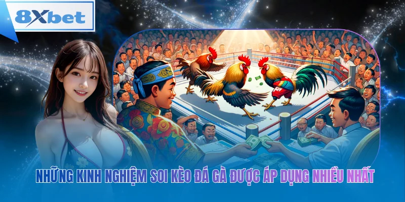 Những kinh nghiệm soi kèo đá gà được áp dụng nhiều nhất