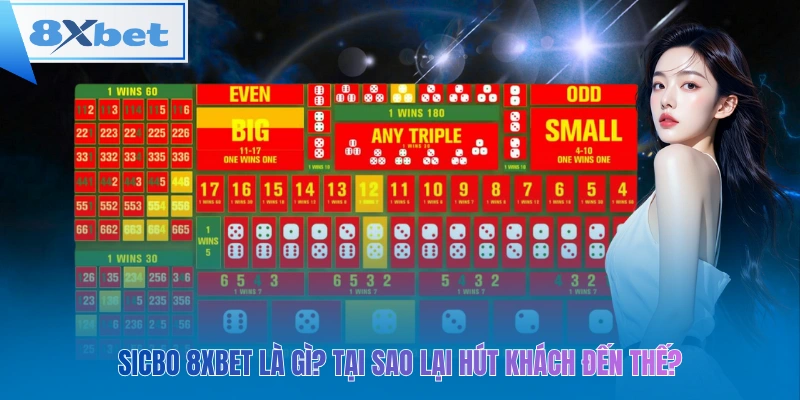 Sicbo 8xbet là gì? Tại sao lại hút khách đến thế?